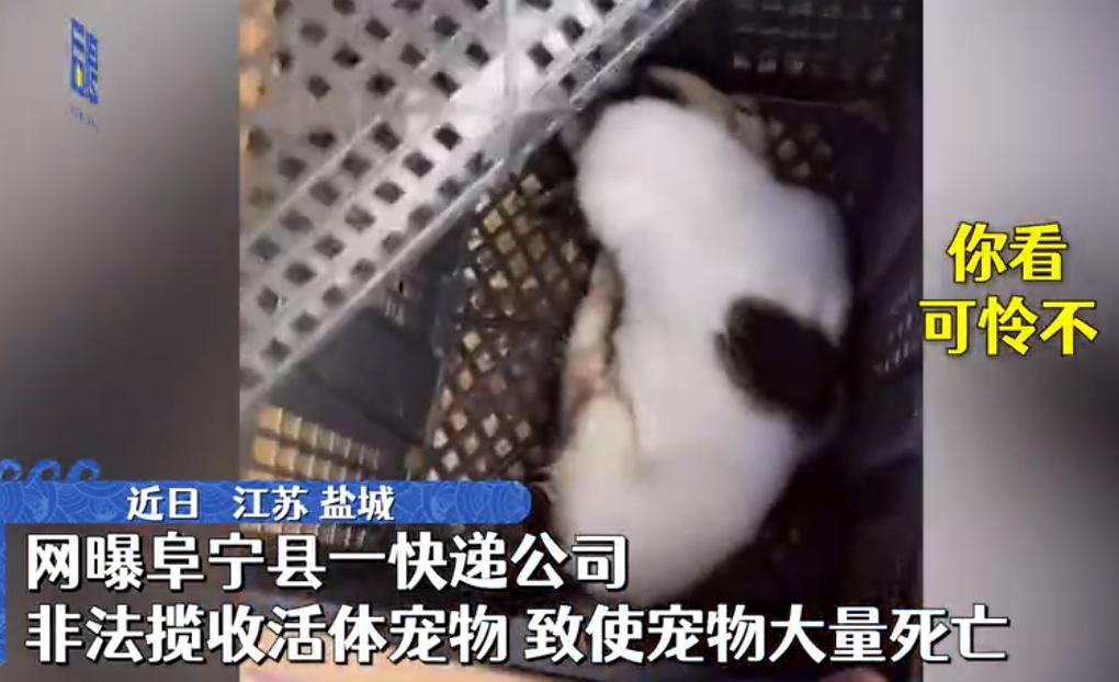 【法治热点早知道】不堪入目！精神残疾女孩被利用做低俗直播，甚至因此进了ICU，3名男主播被刑拘！