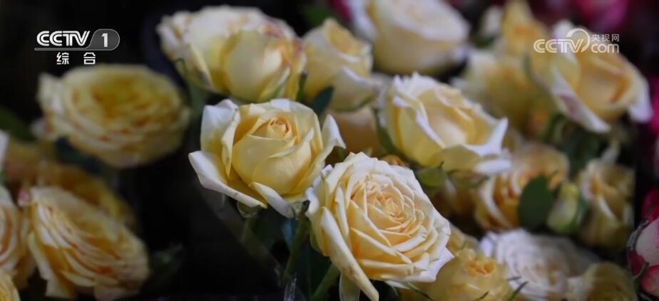 中国花卉产业成果,花卉育苗产业