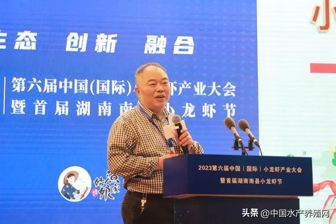 2023年南县小龙虾价格行情,南县小龙虾价格报价