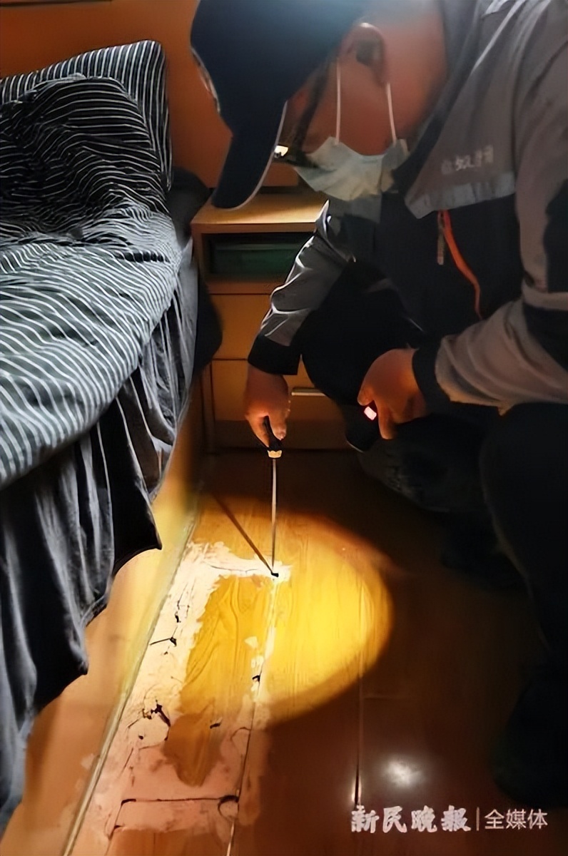 家里发现了几只白蚁怎么办,在白蚁纷飞季节家进了白蚁怎么办