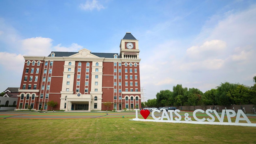 catschina篮球,catschina