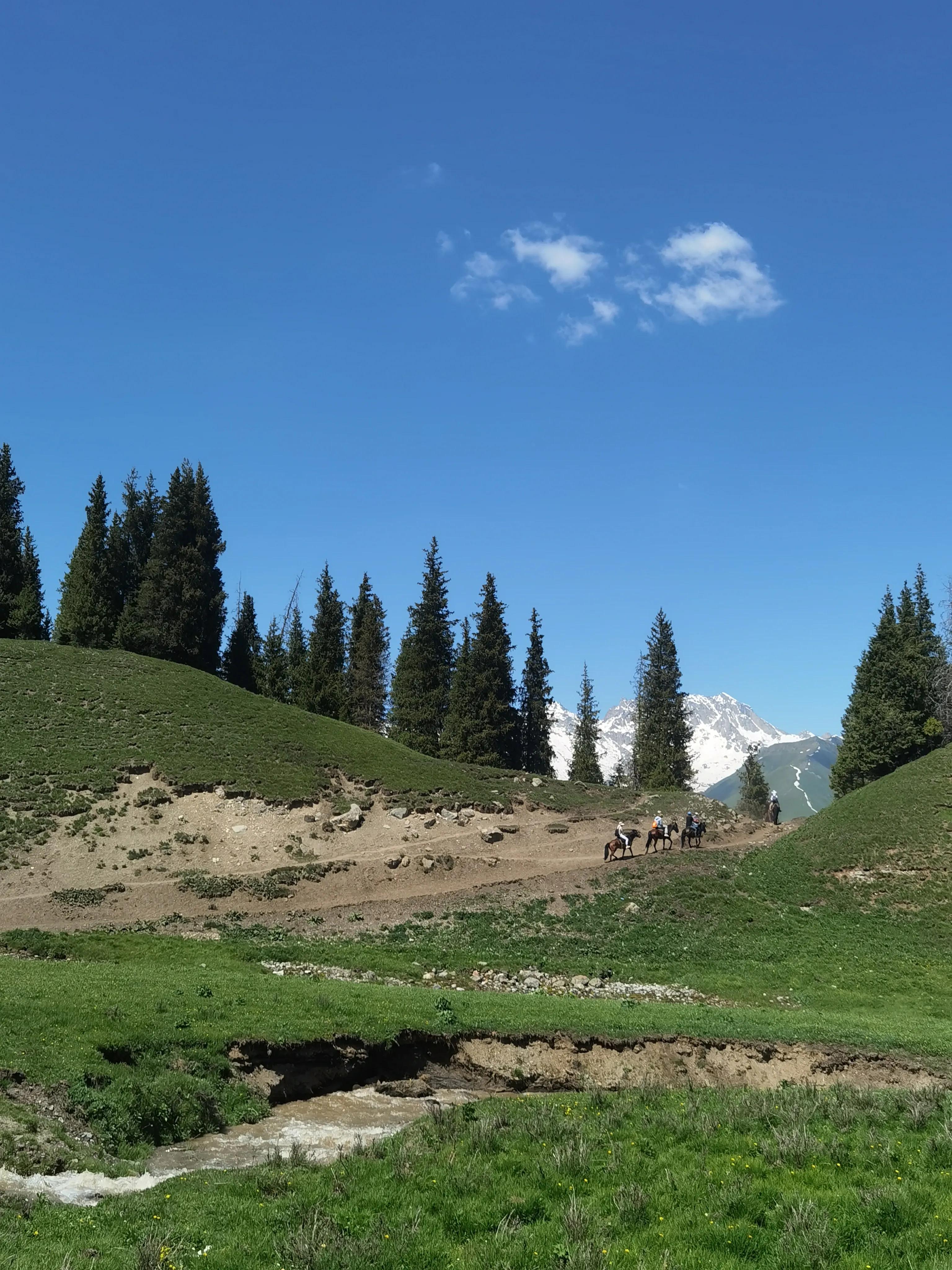 来疆旅游好玩吗,疆内现在可以旅游吗