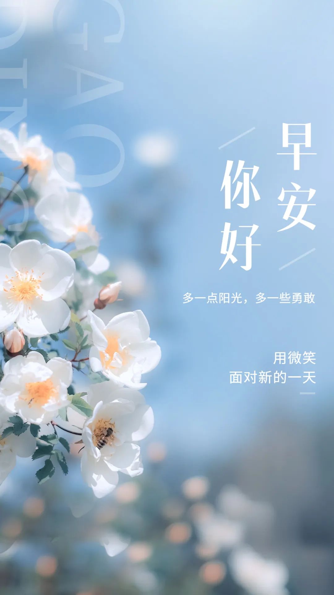 早安经典语录图文,新的一周早安正能量句子图文