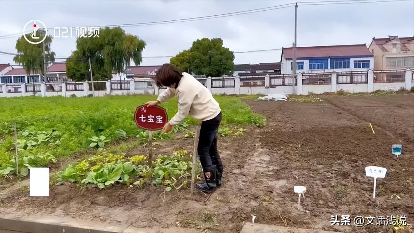 他们是“包地创业”的年轻人，有人年赚百万，有人5个月就逃离