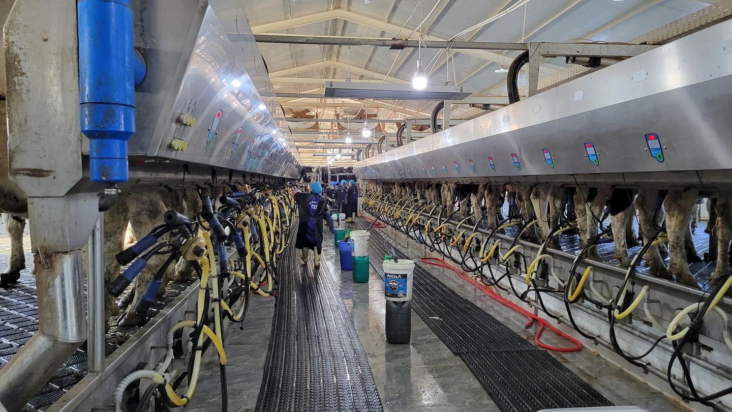 奋进新时代谱写新篇章感悟,古浪乡村振兴政策解读