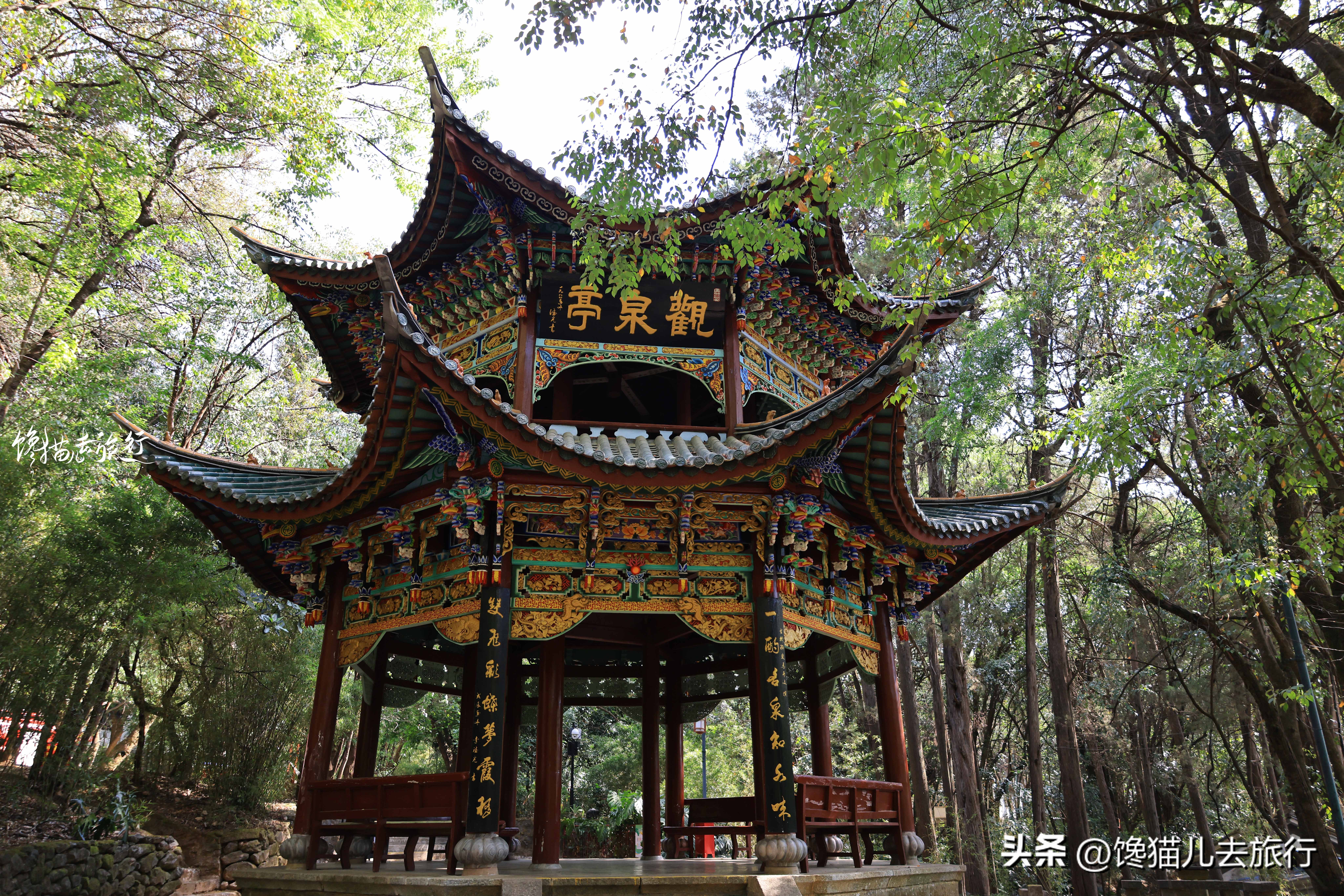 春节期间大理有哪些景点门票免费,大理免费景点一览表