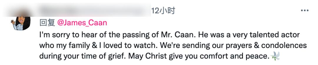 詹姆斯肯恩桑尼,教父长子桑尼扮演者