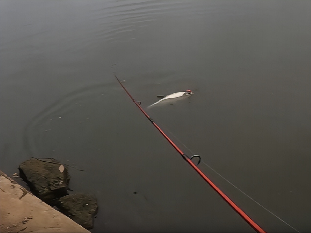 禧玛诺玛杰仕xts68ml,玛杰仕22款xts78m