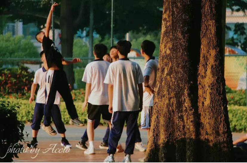 不想努力了怎么办,不想努力了怎么办啊