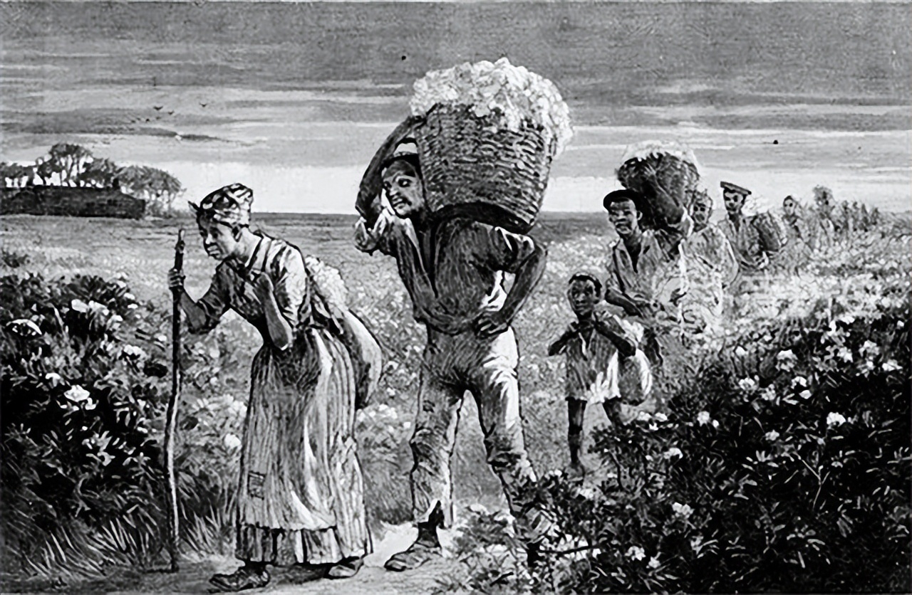 比鞭子、锁链、烙铁恐怖多了，为何轧棉机成为黑奴最痛恨的发明？