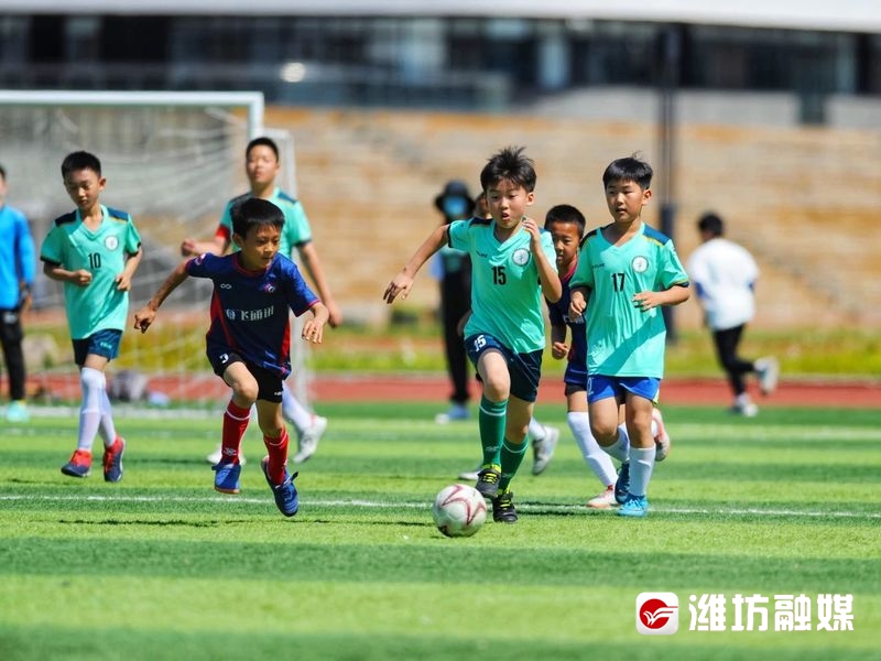 潍坊2023青少年足球比赛,潍坊市2021年小学足球联赛