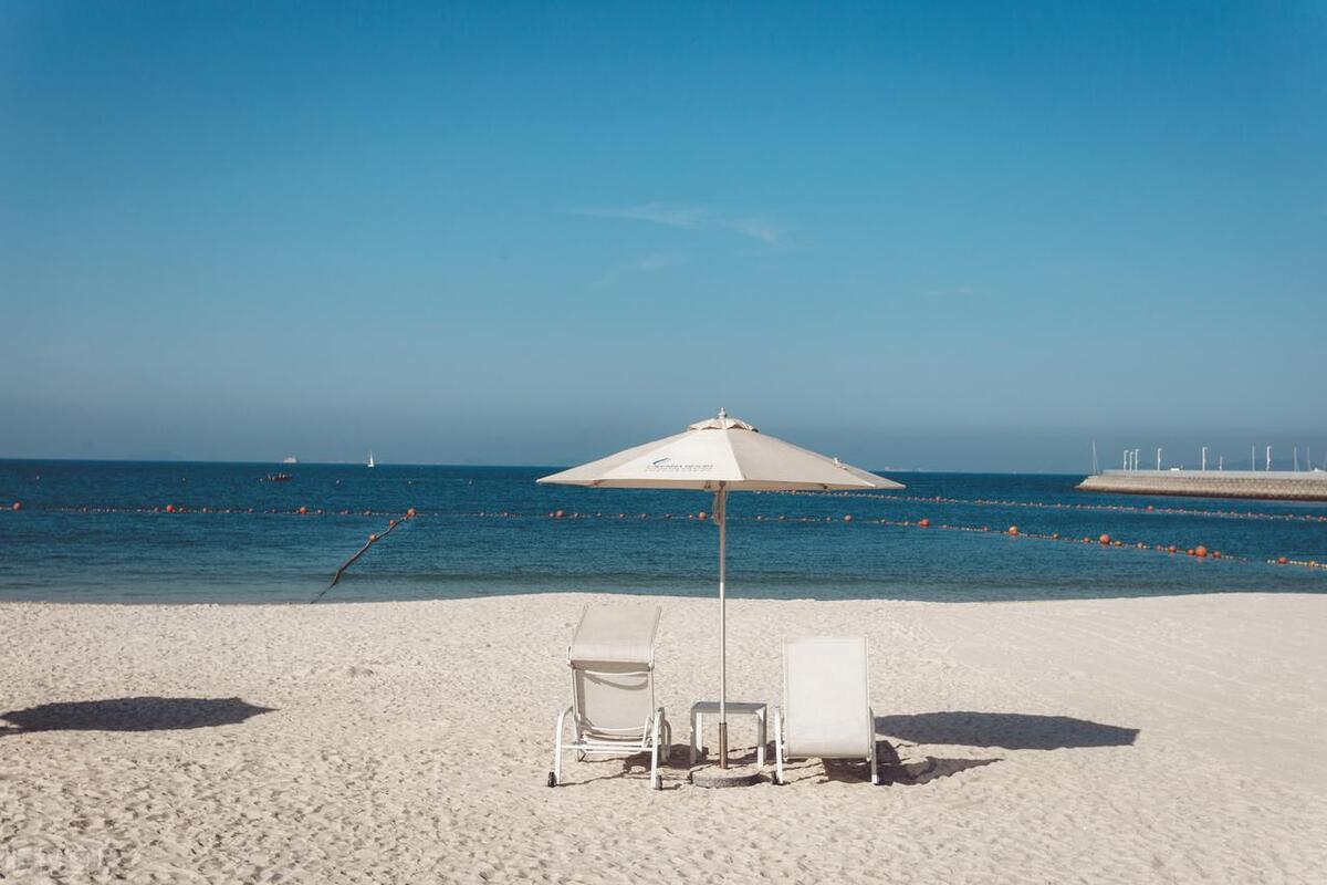 深圳市荔枝公园一日游,深圳2天1夜旅行攻略