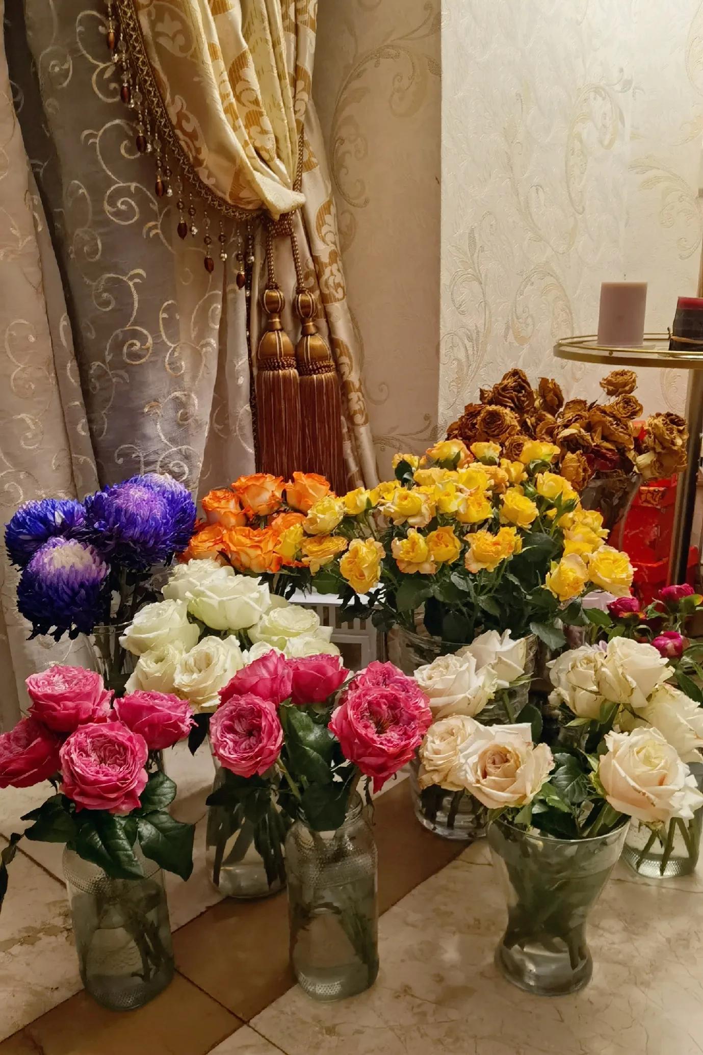 花香满屋，心情舒畅|猪妈的玫瑰开箱测评