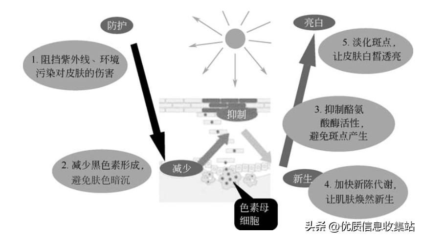 美容书单,美容知识书单