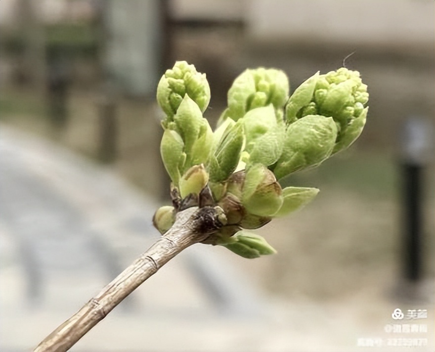 写给学前班孩子的一封信,新年写给青春期孩子的一封信