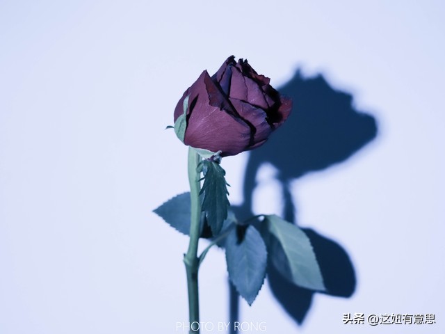 旧情人重逢的场面电视剧,旧情人重逢电视剧全集