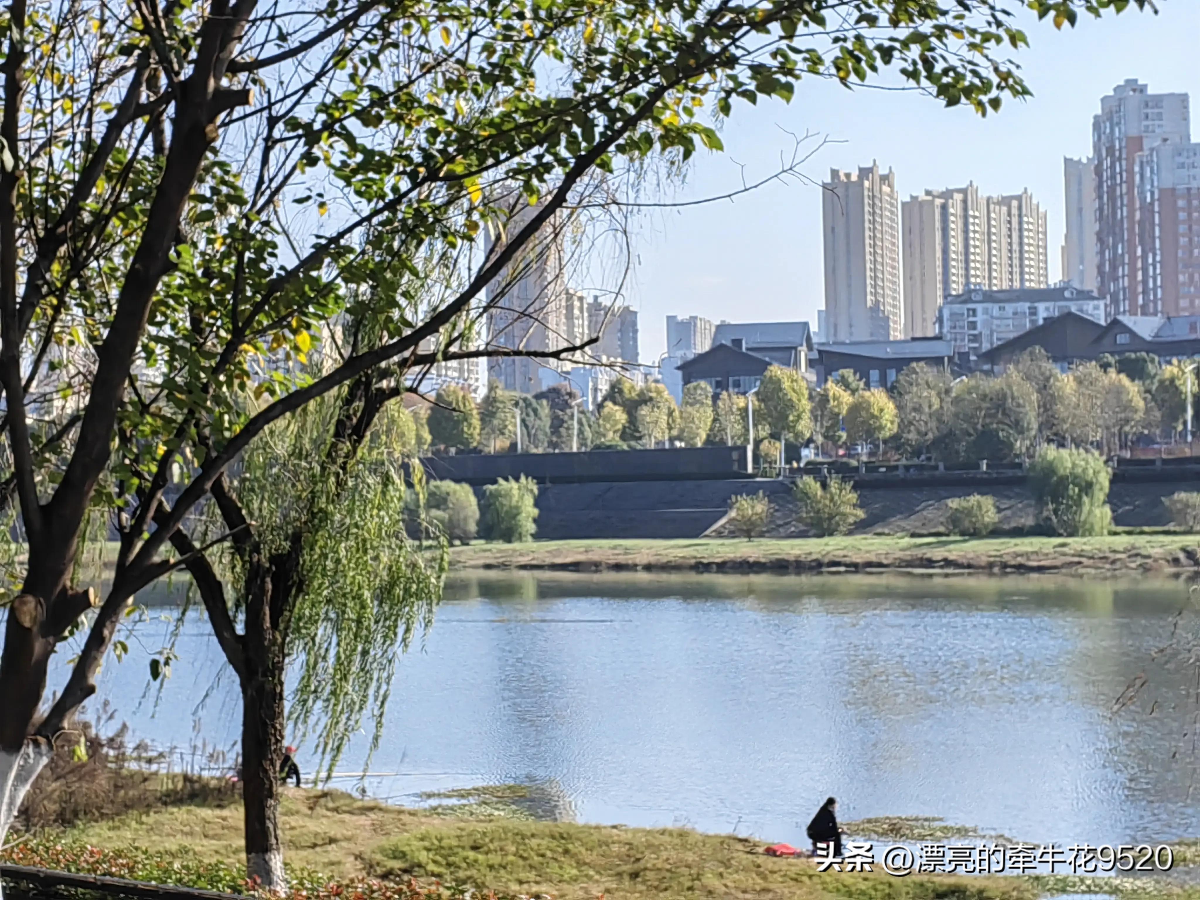 六安月亮岛的风景春夏秋冬,六安月亮岛夕阳美景