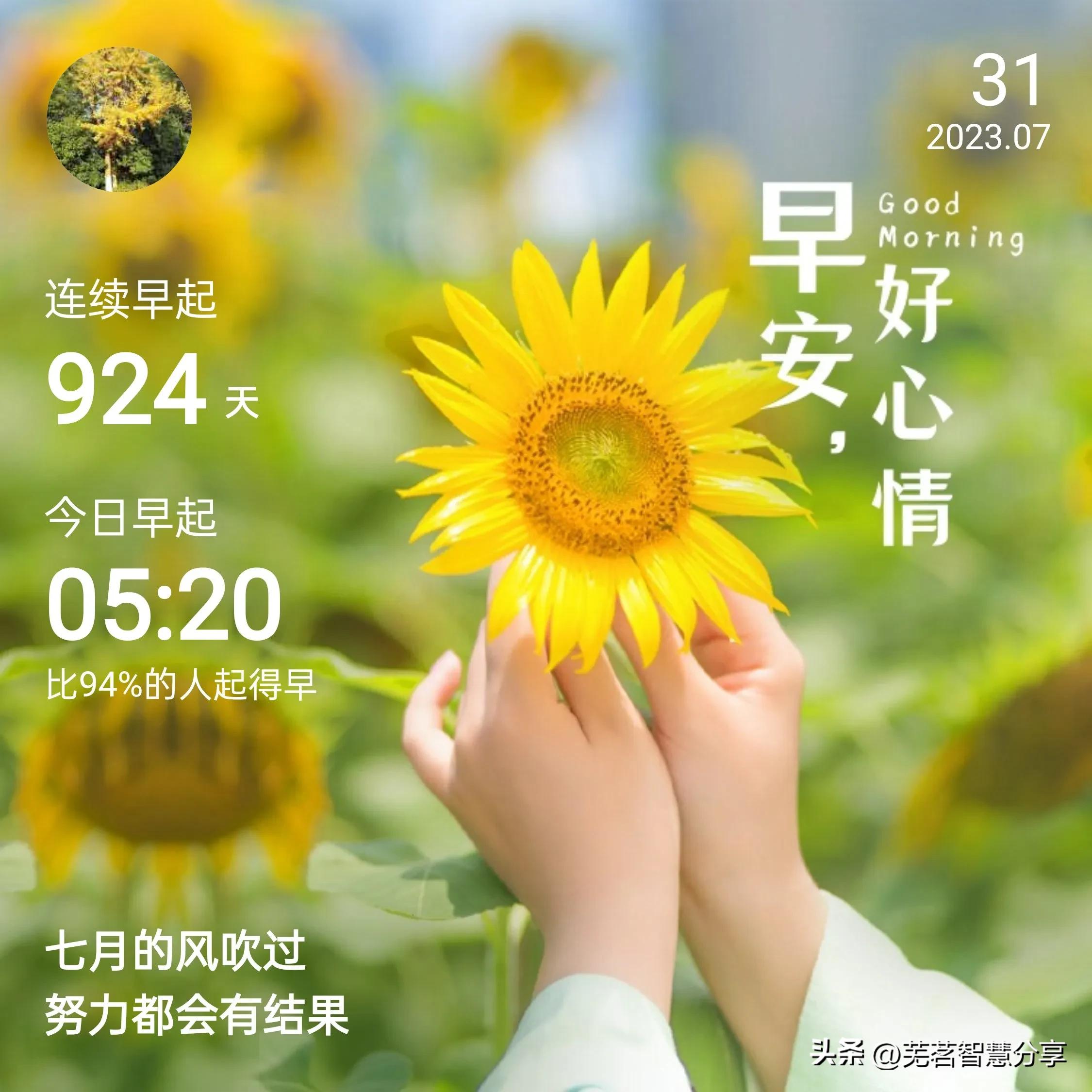 蚊子咬了拔罐管用吗,毒蚊子咬后可以放血拔罐吗