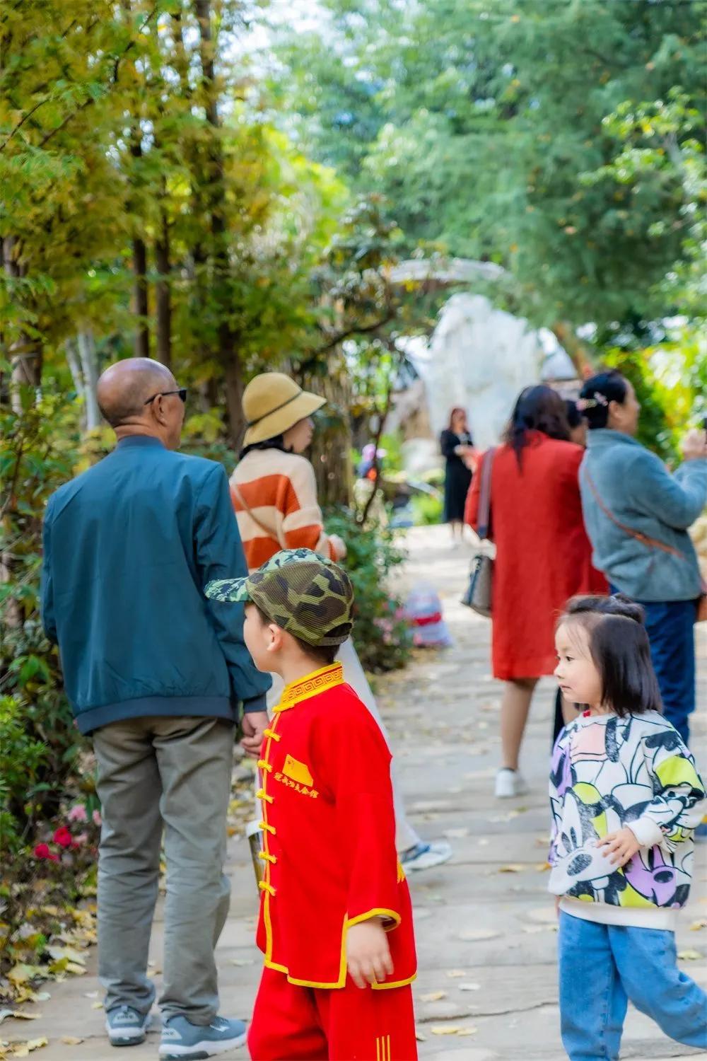 有一种生活叫大理的含义,有一种生活叫大理图片