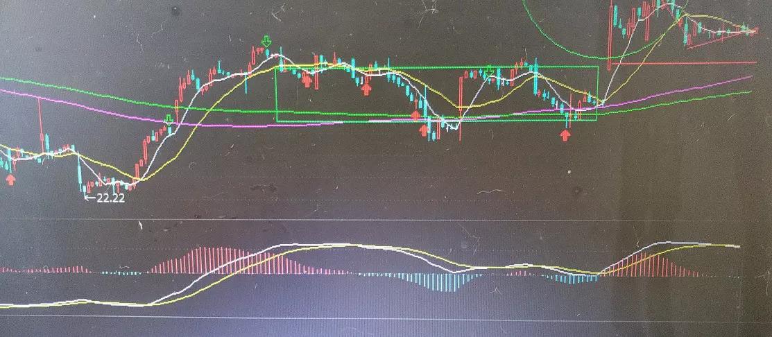 金蛋走势图,看走势图能推断出一等奖吗