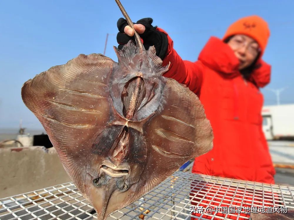 咸鱼最火地图,闲鱼攻略图