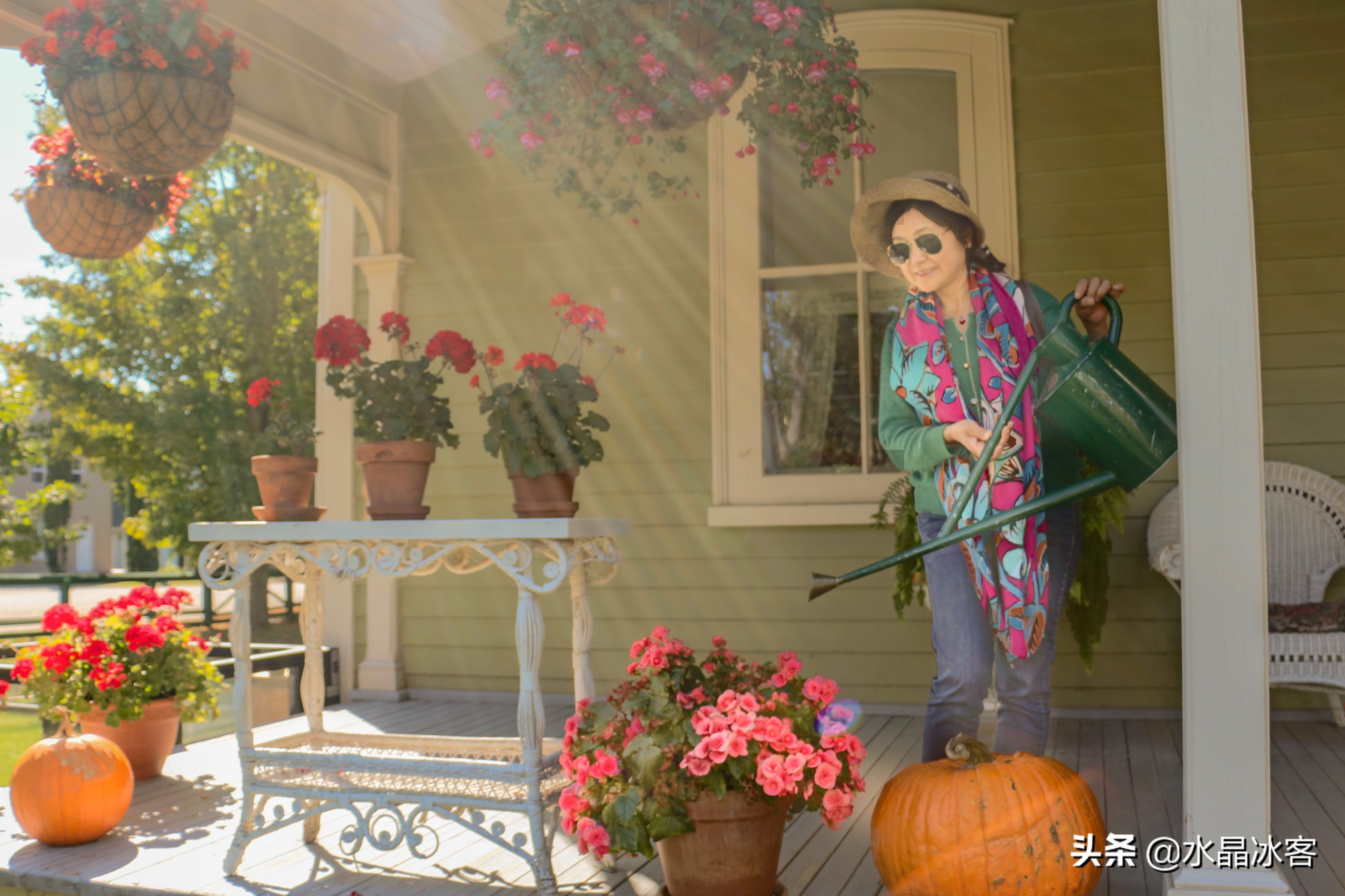 美东加东旅游,美东加东