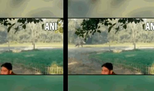 印度男子骑着大象被老虎袭击,印度男子遭豹子追击