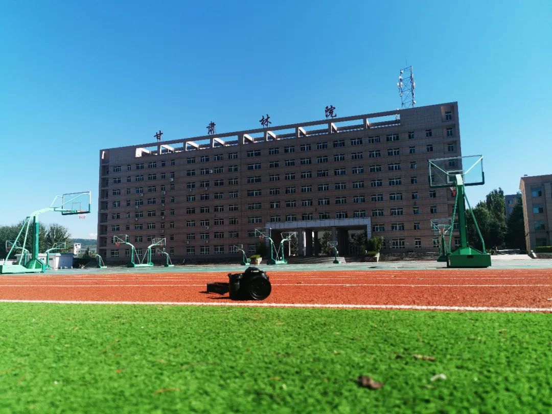 甘肃林业职业技术学院招生处电话,甘肃林业职业技术学院招生办