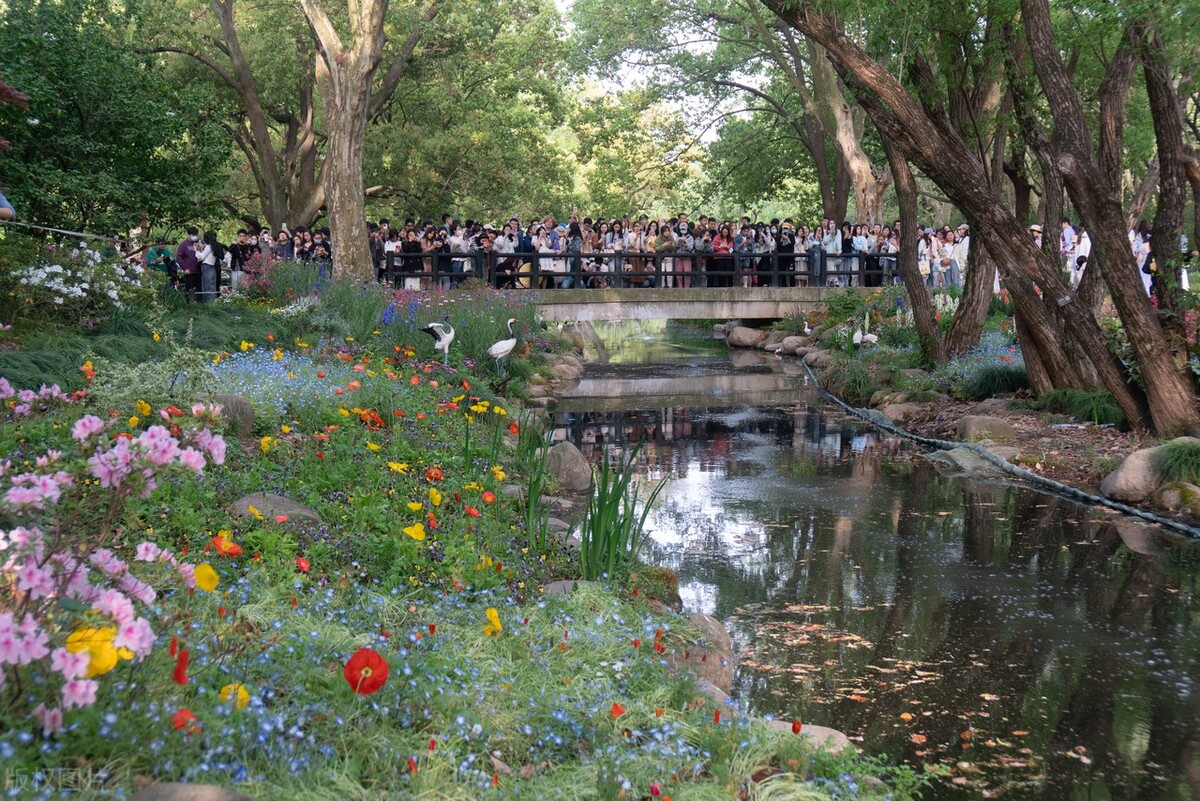 大上海旅游攻略必去景点大全,休息了没事去大上海参观旅游景点