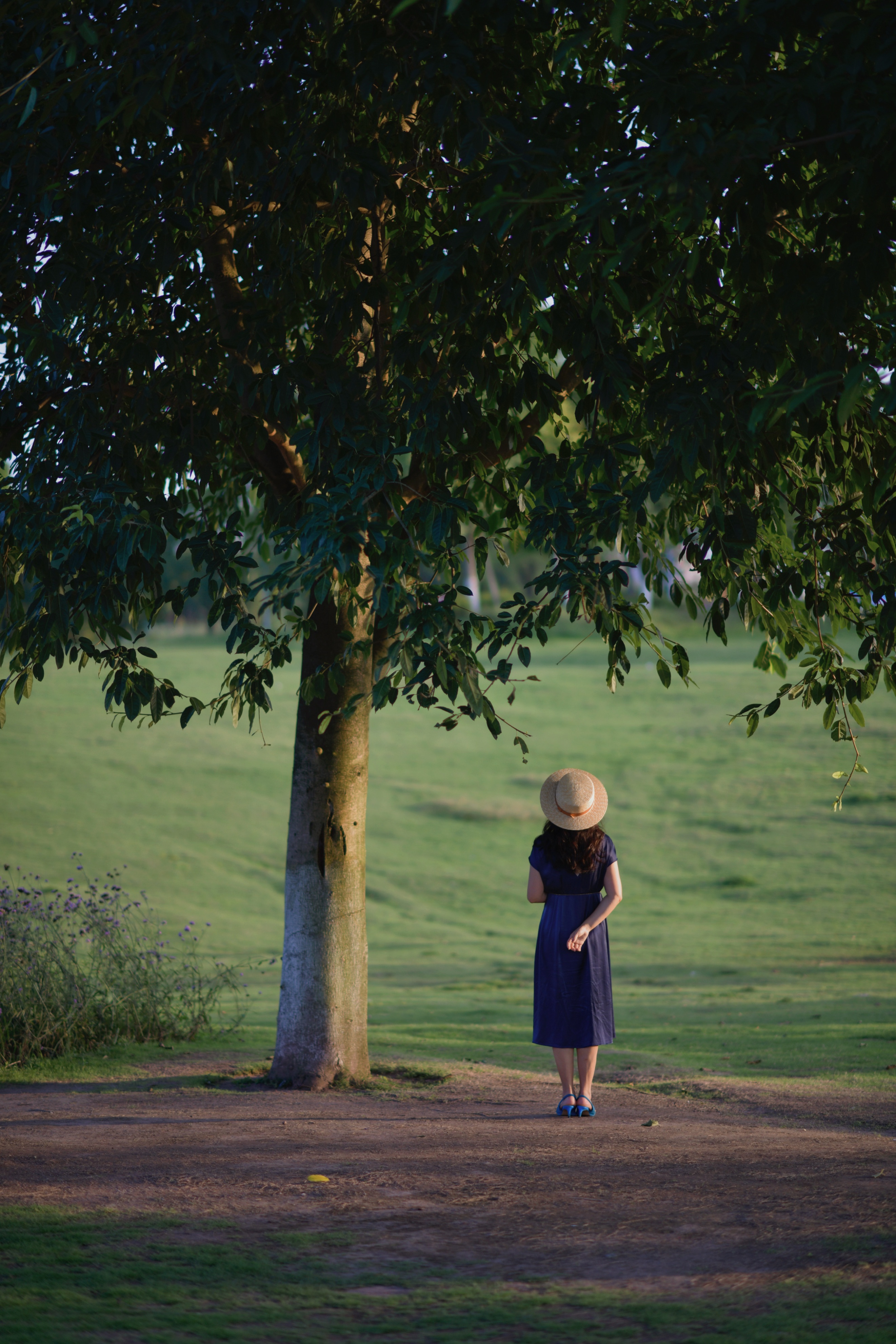 重庆市赏花胜地游玩线路,重庆渝北周边赏花地点推荐