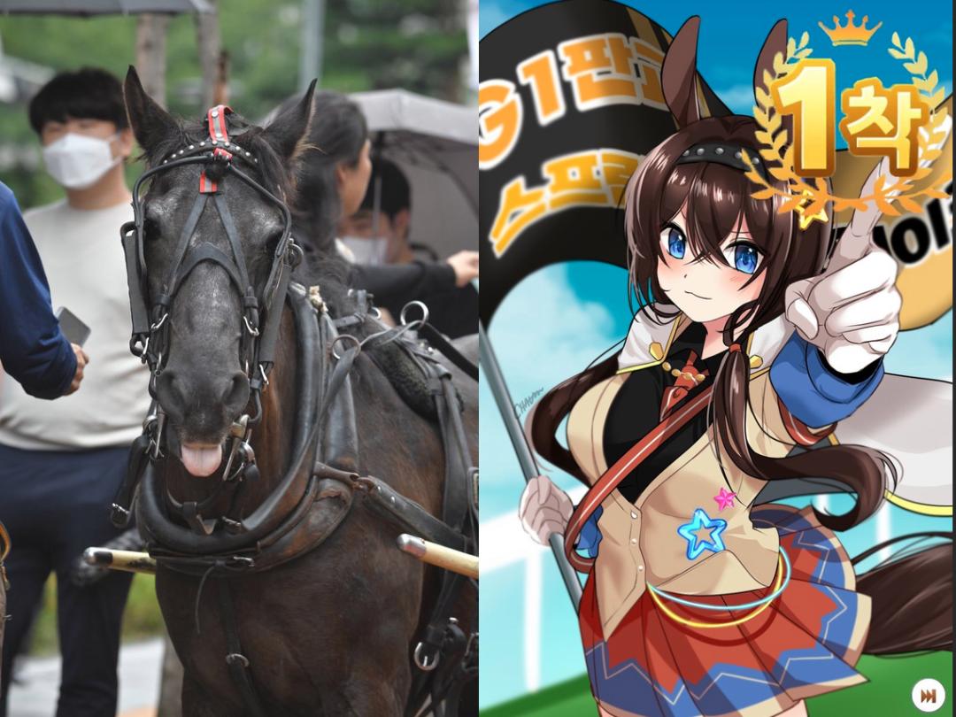 开LED卡车游街、青瓦台*愿请**，韩国玩家怎样成为“维权先锋”？