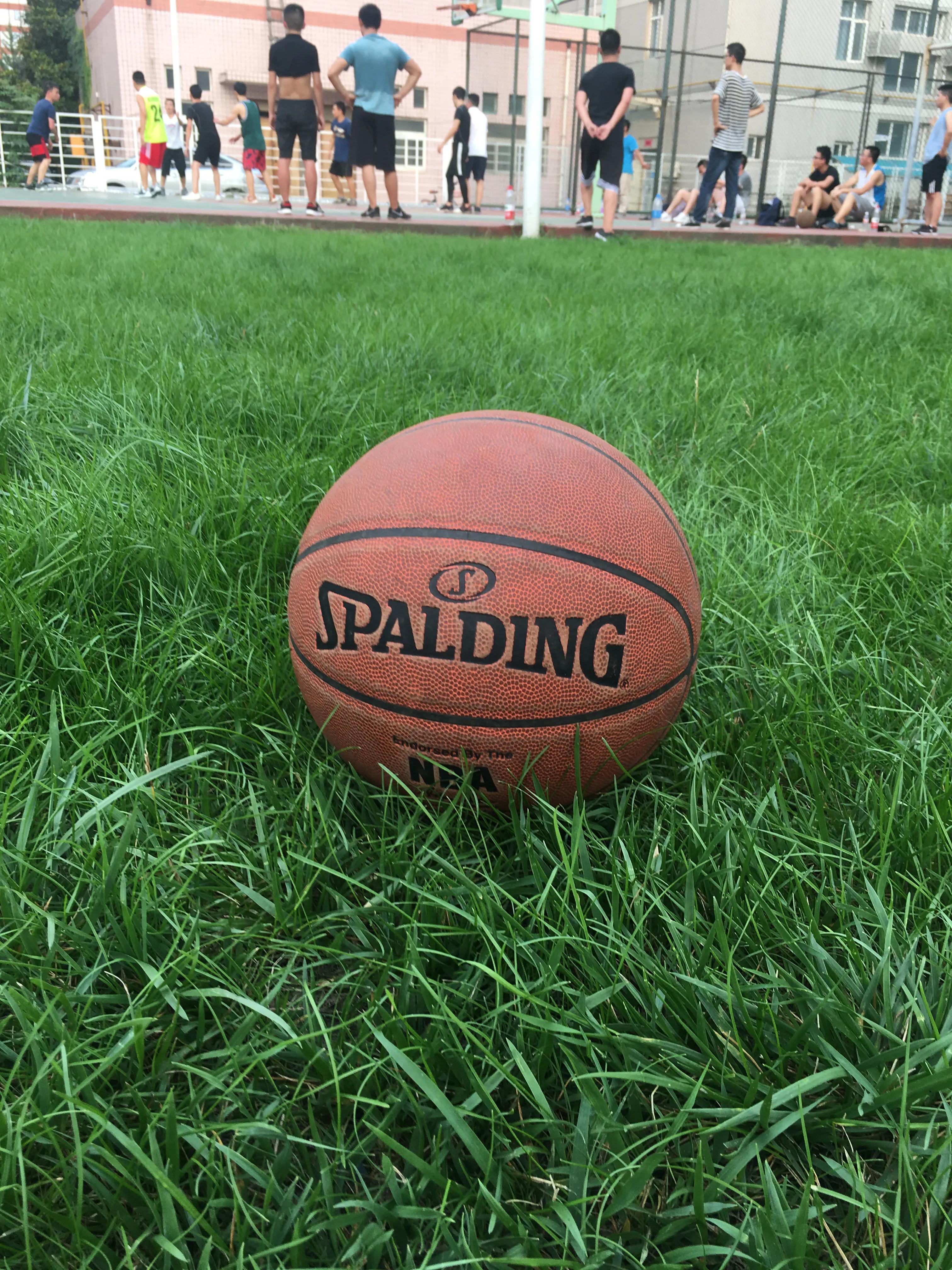 同宿舍六人毕业后现状,毕业八年后现状