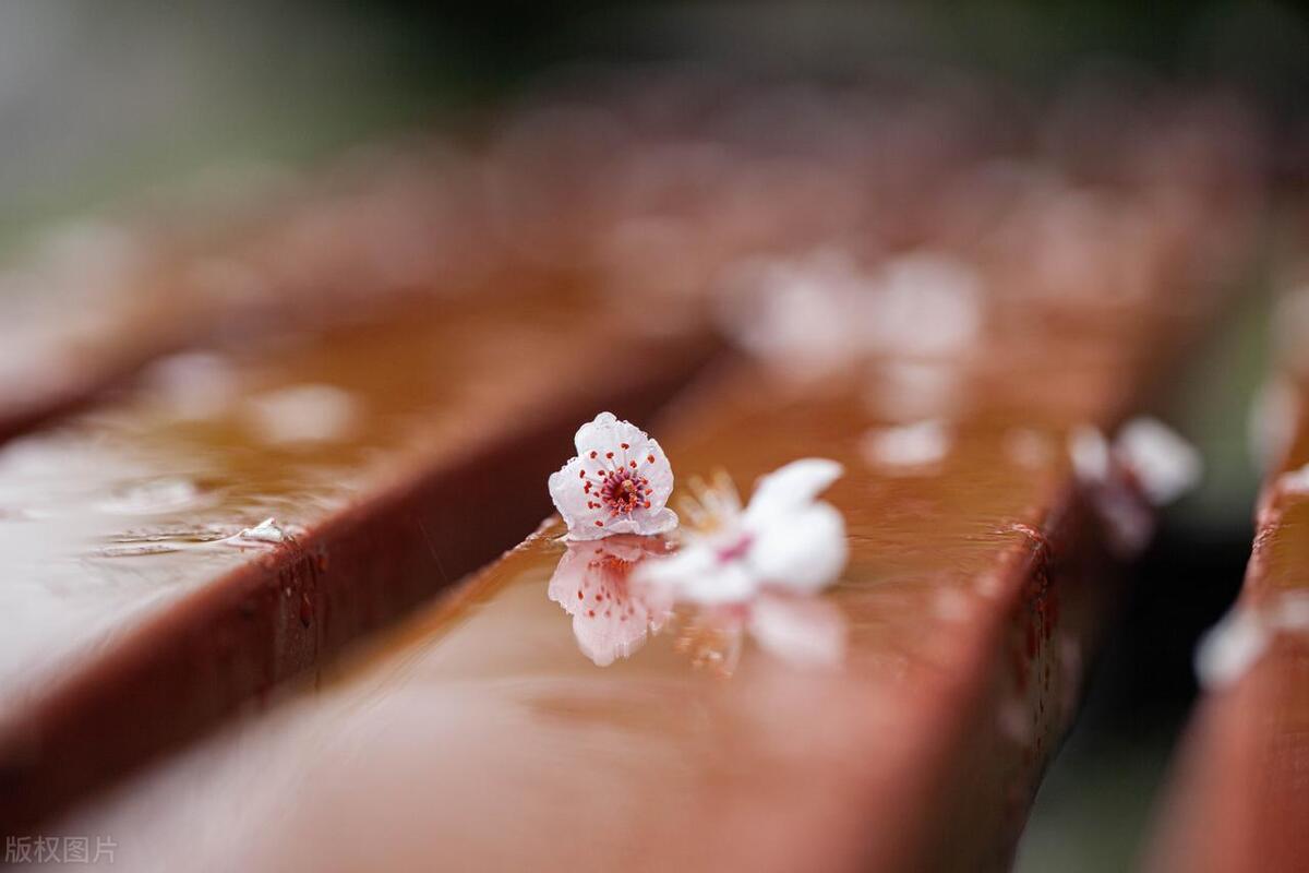 男人删除女人微信还能挽回吗,男朋友把我删除了还能挽回吗