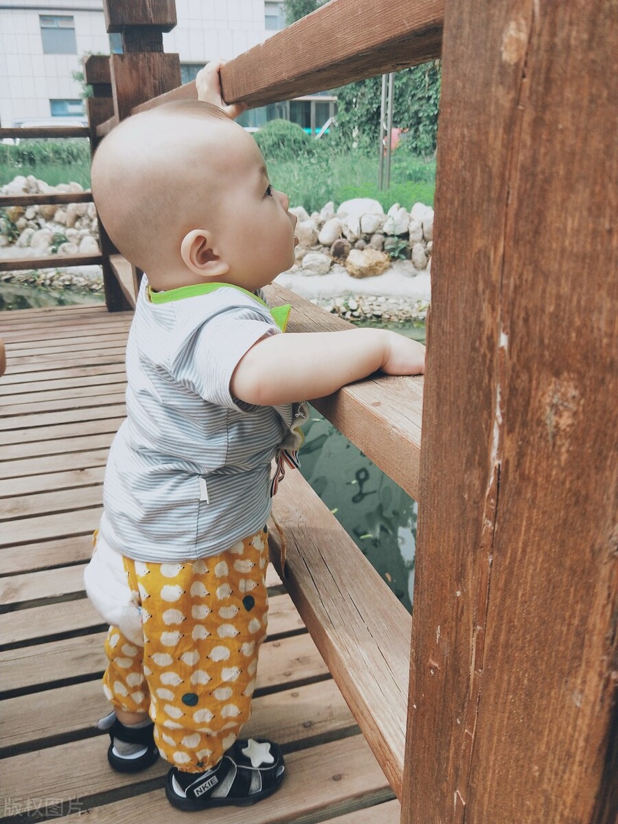 两个多月的宝宝怎么培养智力,怎么和八个月的宝宝互动