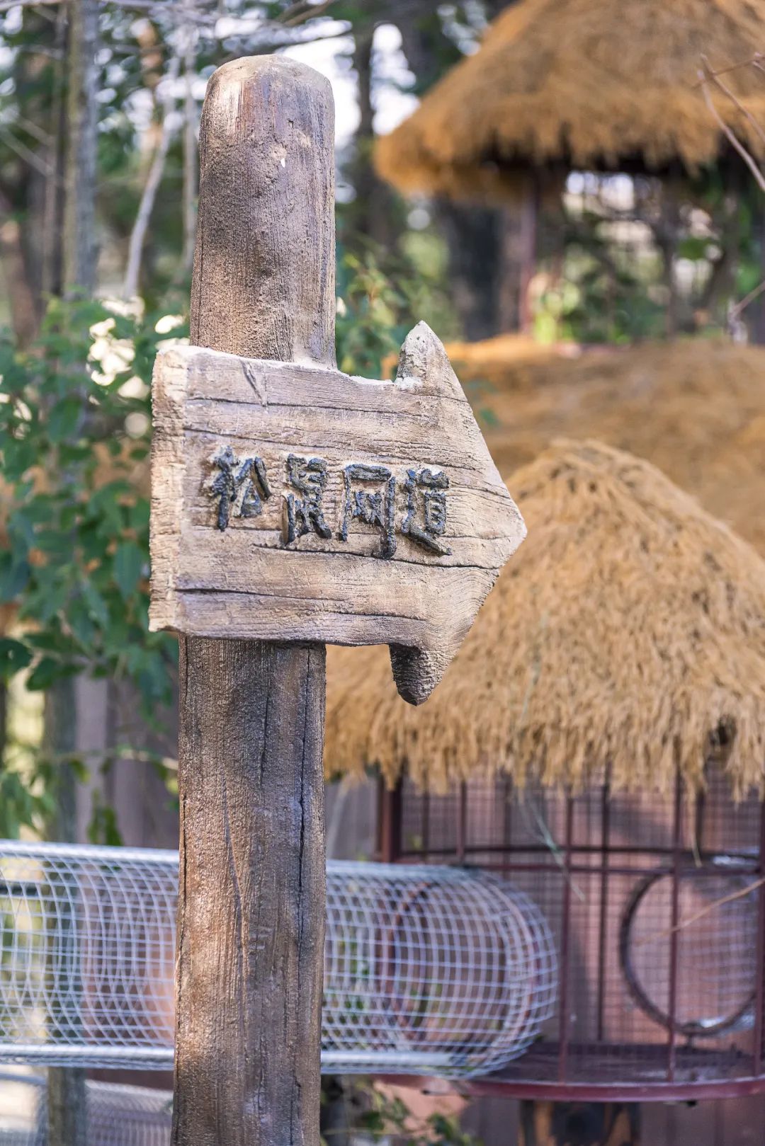 陈妙林直播,开元酒店集团董事长陈妙林