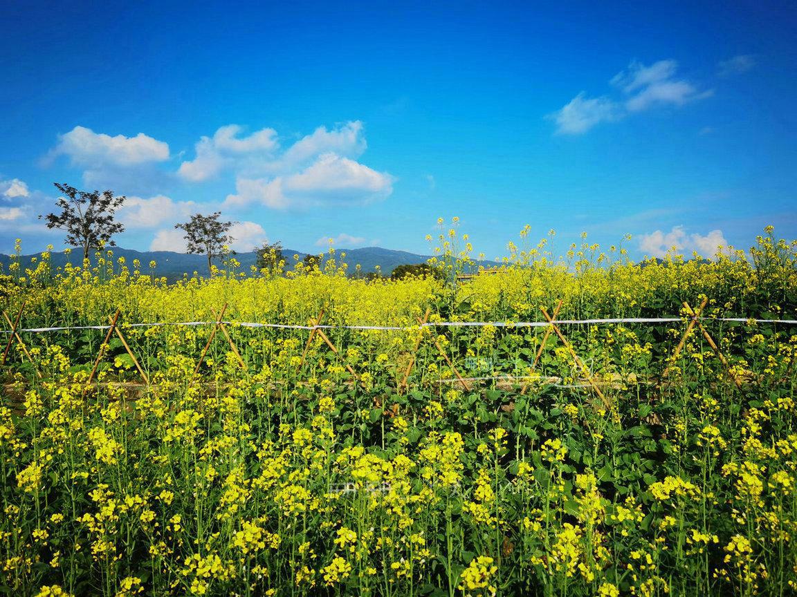 广州增城旅游攻略必去景点,广州增城旅游全攻略