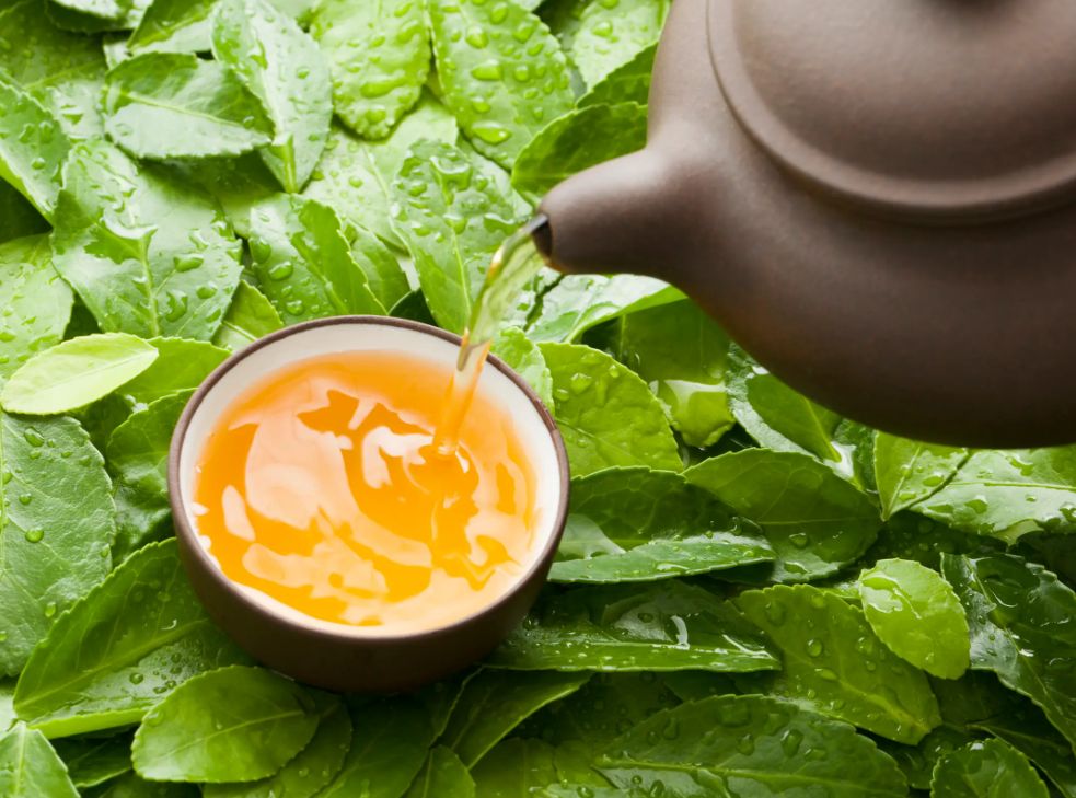 大益普洱茶独特的品质特征指什么,大益普洱茶品鉴技巧答案