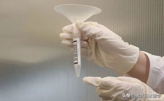 日本将放宽入境限制探亲签证,日本调整入境政策是否包含中国