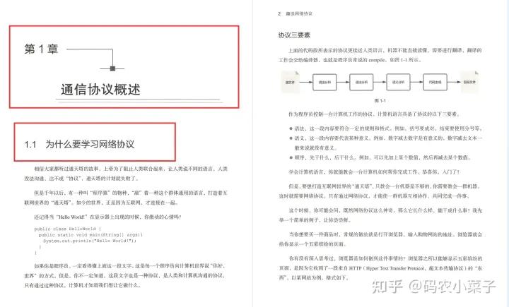 网络协议从入门到精通 (网络协议入门到精通)