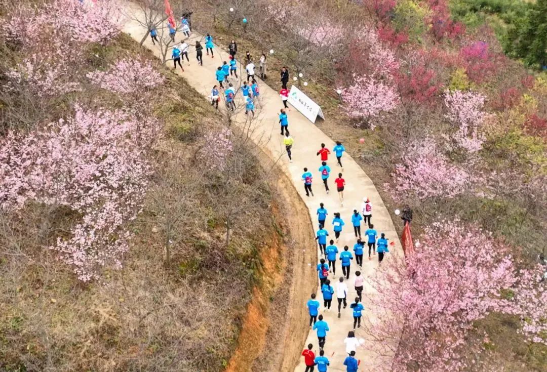 青山绿水是无价之宝|25年实践案例之⑱：中国绿都·全宴三明