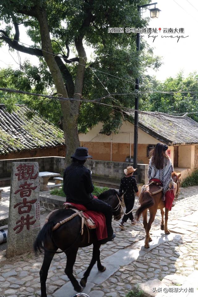 去有风的地方像个没人的地方,去有风的地方到底演的什么