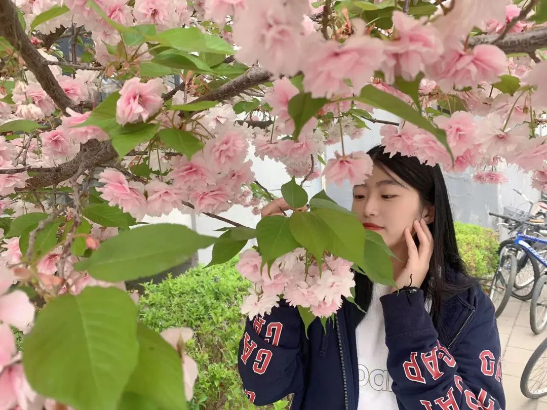 高校寝室风采展,大学生班级风采展示视频30秒