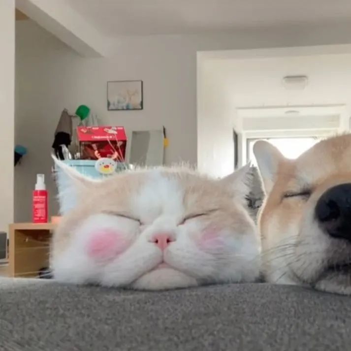 情侣头像来我身边给你温暖,情侣头像我细数时光只为与你相见