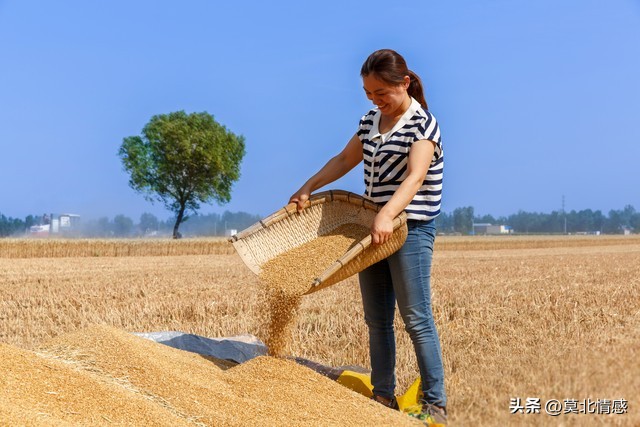 我有一个小舅妈，不出村，却走在潮流前列，管着村子里的红白喜事