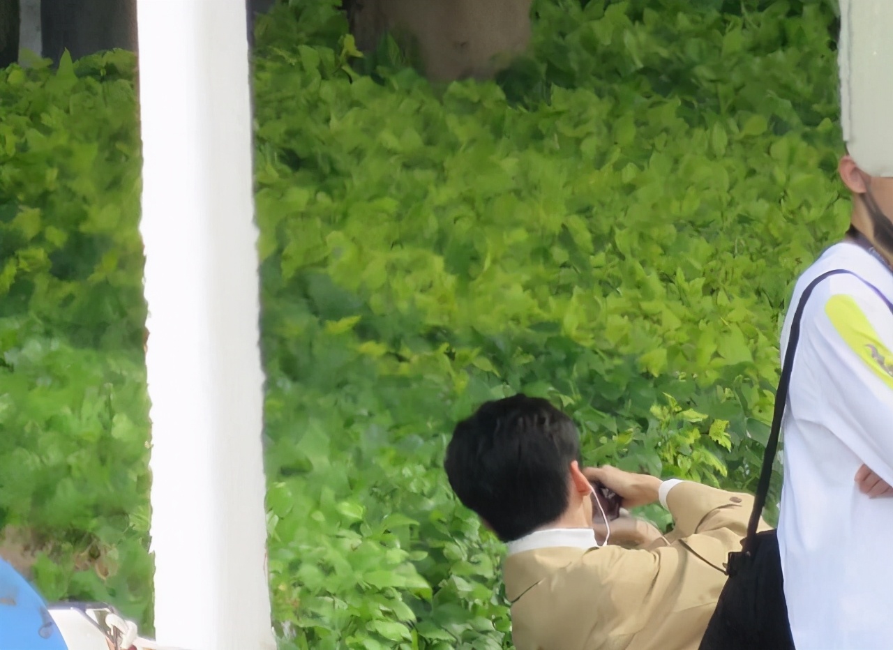 成龙谈论小鲜肉不能吊威亚,我看你有戏成龙说吊威亚张国立