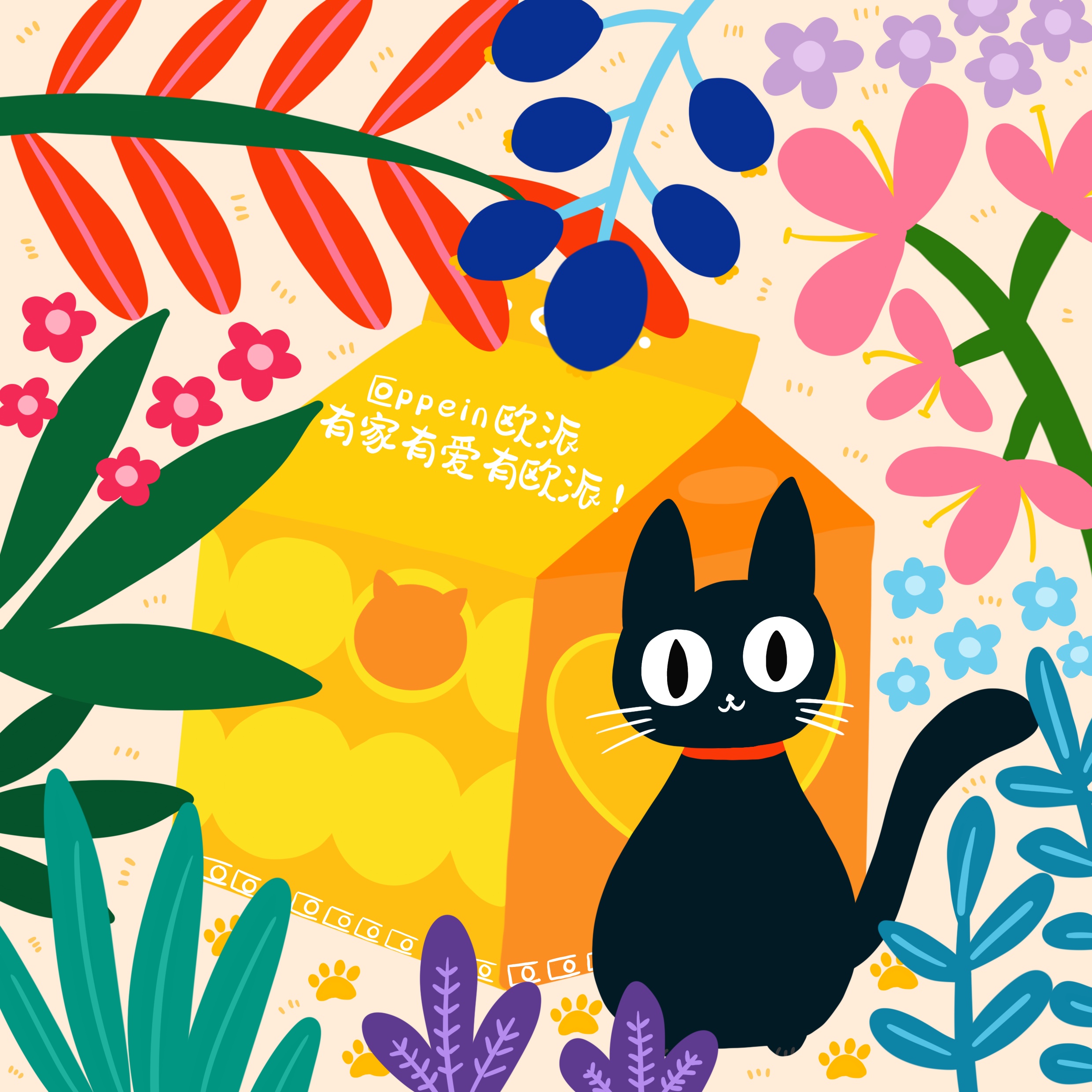 为爱定制一个家,为流浪猫爱心筹款