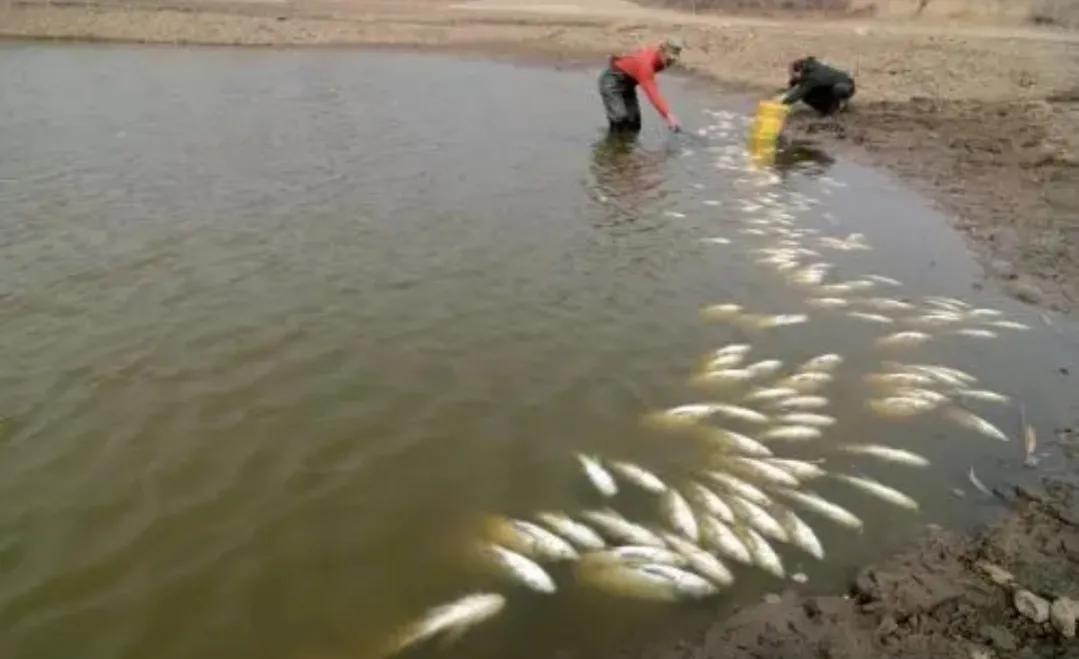 想在农村创业需要了解什么,农村创业需要满足哪几个条件