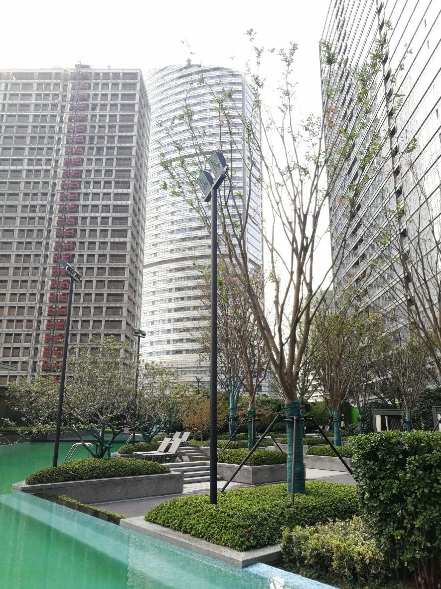 景观灯具布局要点,怎样布置庭院景观灯