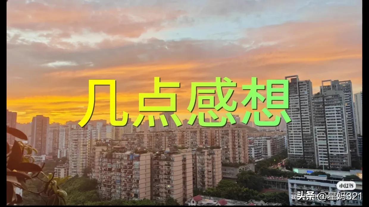 看了一篇文章后的感触,看了一篇文章后感动的语句