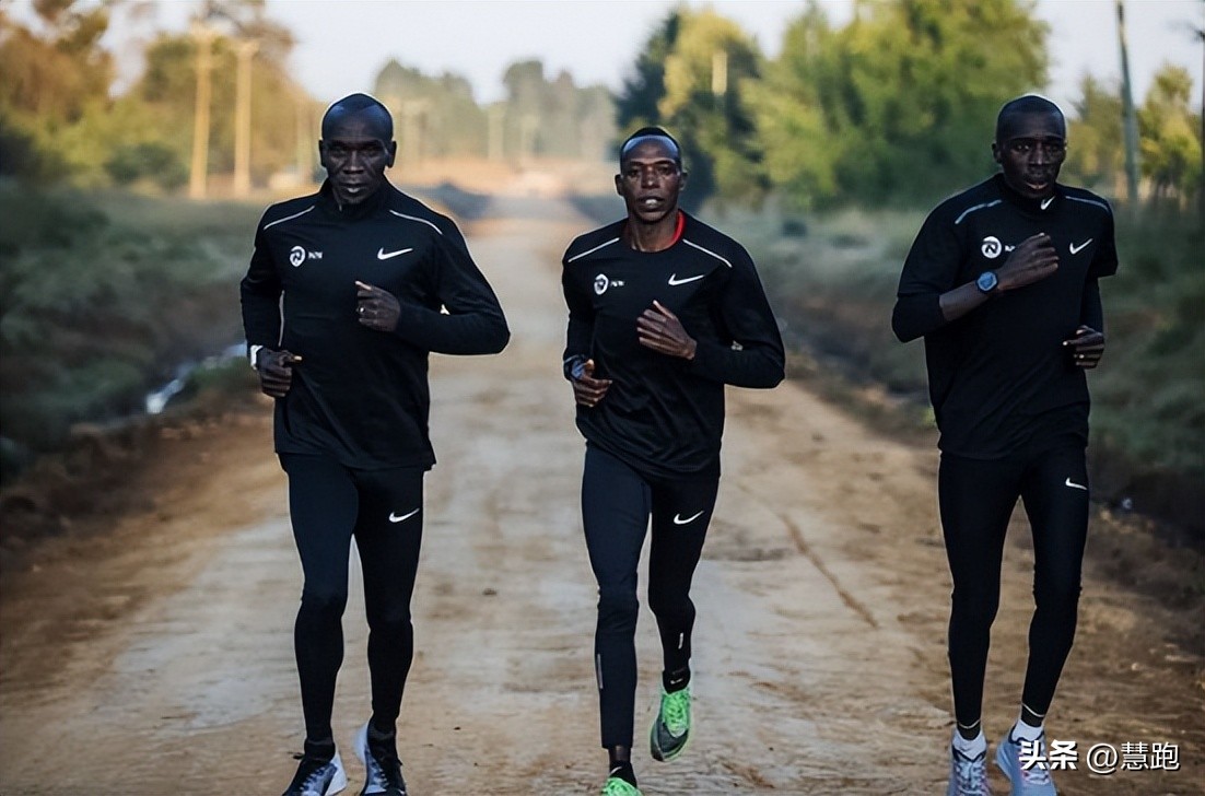 从小白到职业健身选手,从小白到健身一年的变化